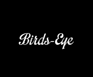 Logo Design by koncone koncoku for Birds-Eye  | Design: #10334588