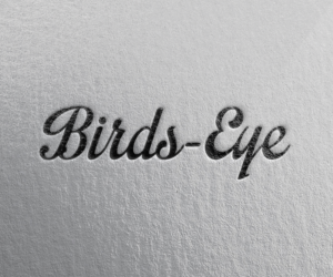 Logo Design by koncone koncoku for Birds-Eye  | Design: #10334812