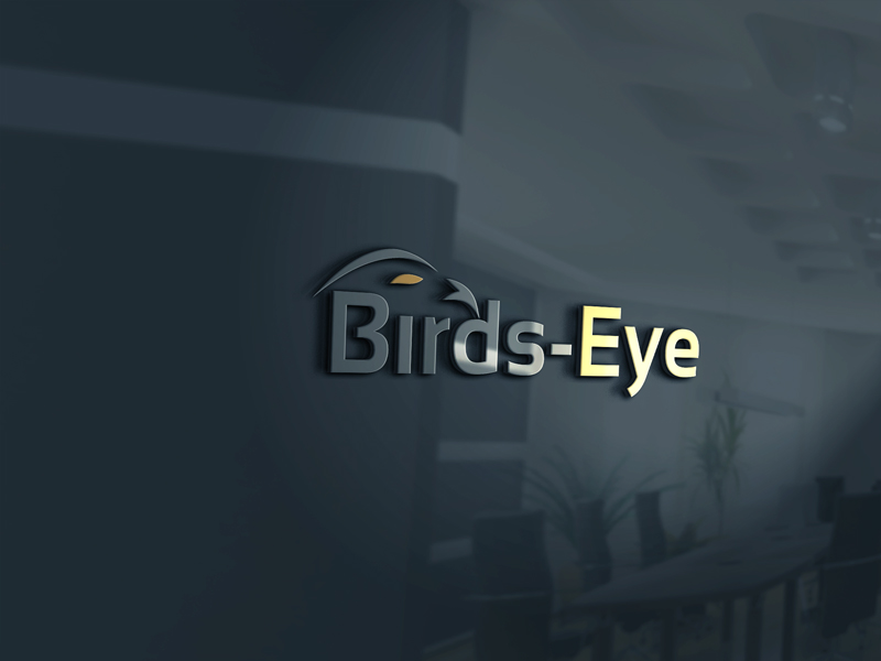 Logo Design by logomaster24 for Birds-Eye  | Design #10242797