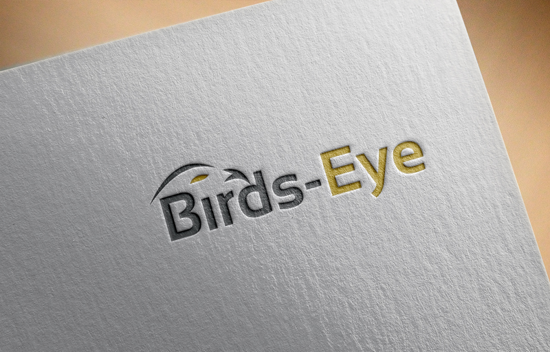 Logo Design by logomaster24 for Birds-Eye  | Design #10242798