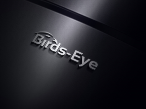 Logo Design by logomaster24 for Birds-Eye  | Design: #10242799