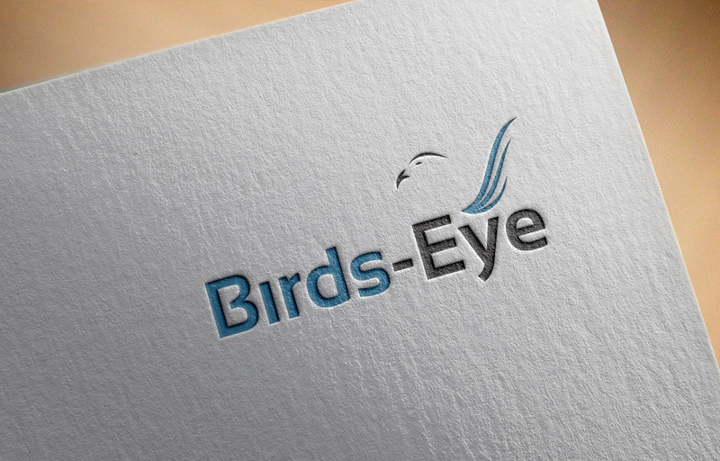 Logo Design by logomaster24 for Birds-Eye  | Design #10242838