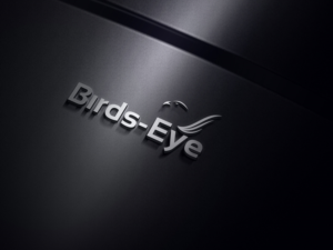 Logo Design by logomaster24 for Birds-Eye  | Design: #10242840