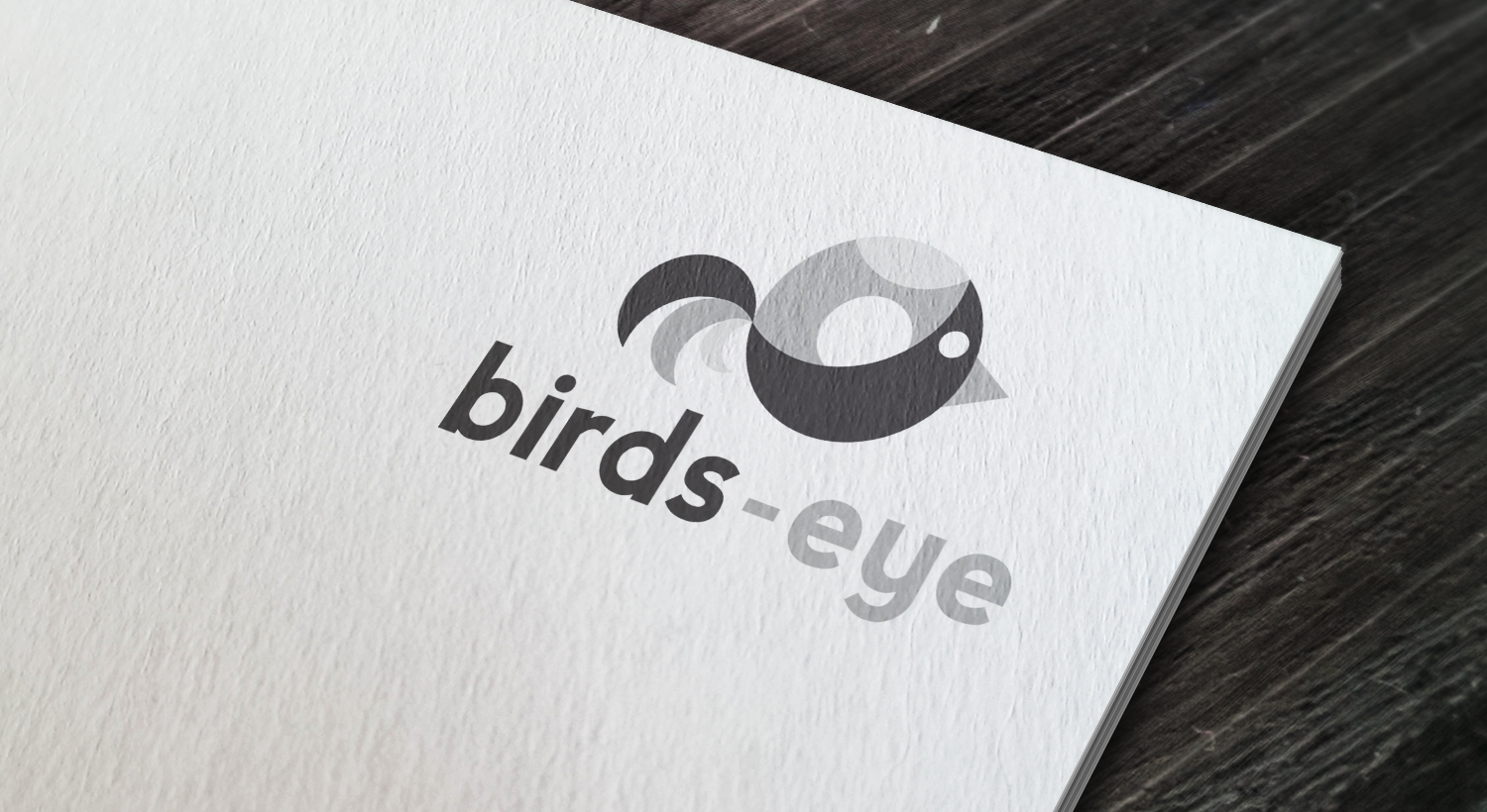 Logo Design by MarkDesign for Birds-Eye  | Design #10270026