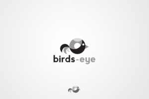 Logo Design by MarkDesign for Birds-Eye  | Design: #10270027