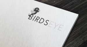 Logo Design by MarkDesign for Birds-Eye  | Design: #10278919
