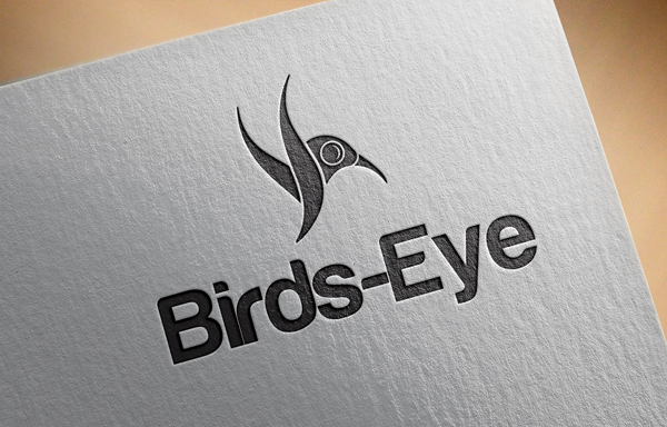 Logo Design by DESIGN Services JK for Birds-Eye  | Design #10244691