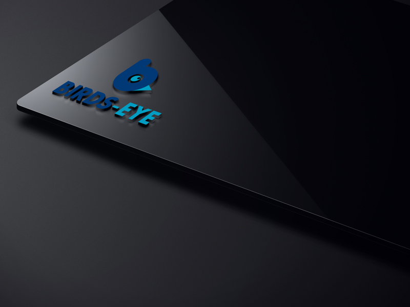 Logo Design by Mehedi Hasan ™ for Birds-Eye  | Design #10242735