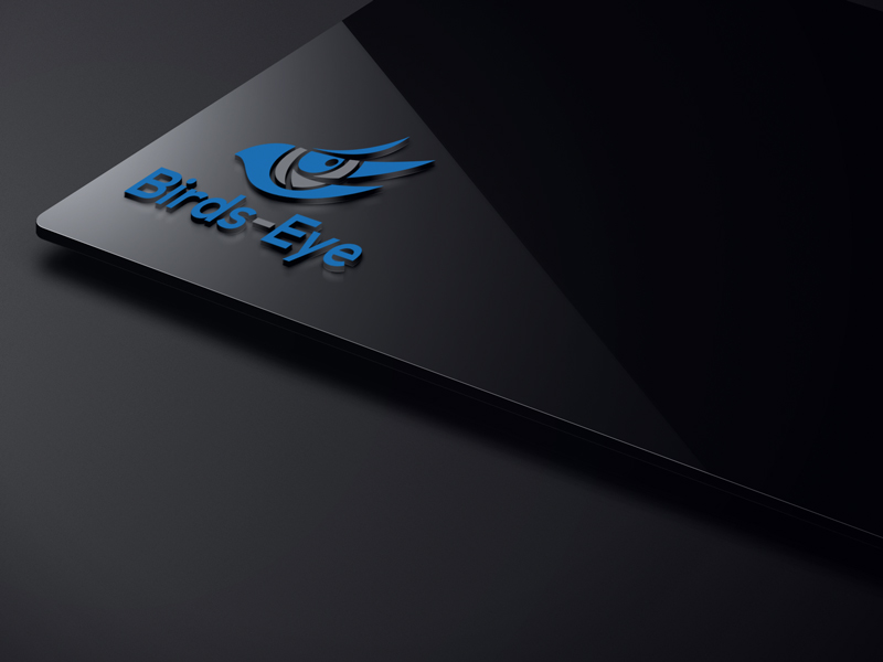 Logo Design by Mehedi Hasan ™ for Birds-Eye  | Design #10242739