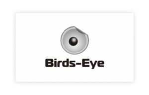 Logo Design by art-artik for Birds-Eye  | Design: #10306407