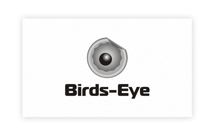 Logo Design by art-artik for Birds-Eye  | Design #10306409