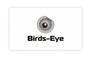 Logo Design by art-artik for Birds-Eye  | Design: #10306409