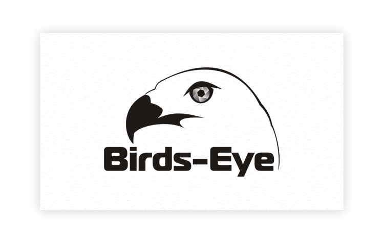 Logo-Design von art-artik für Birds-Eye  | Design #10314853