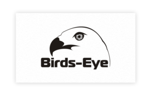 Logo Design by art-artik for Birds-Eye  | Design: #10314853