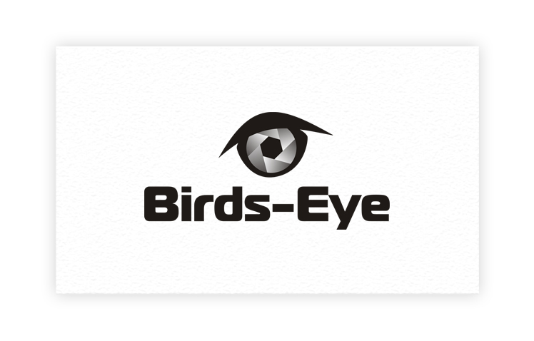 Logo Design by art-artik for Birds-Eye  | Design #10314976