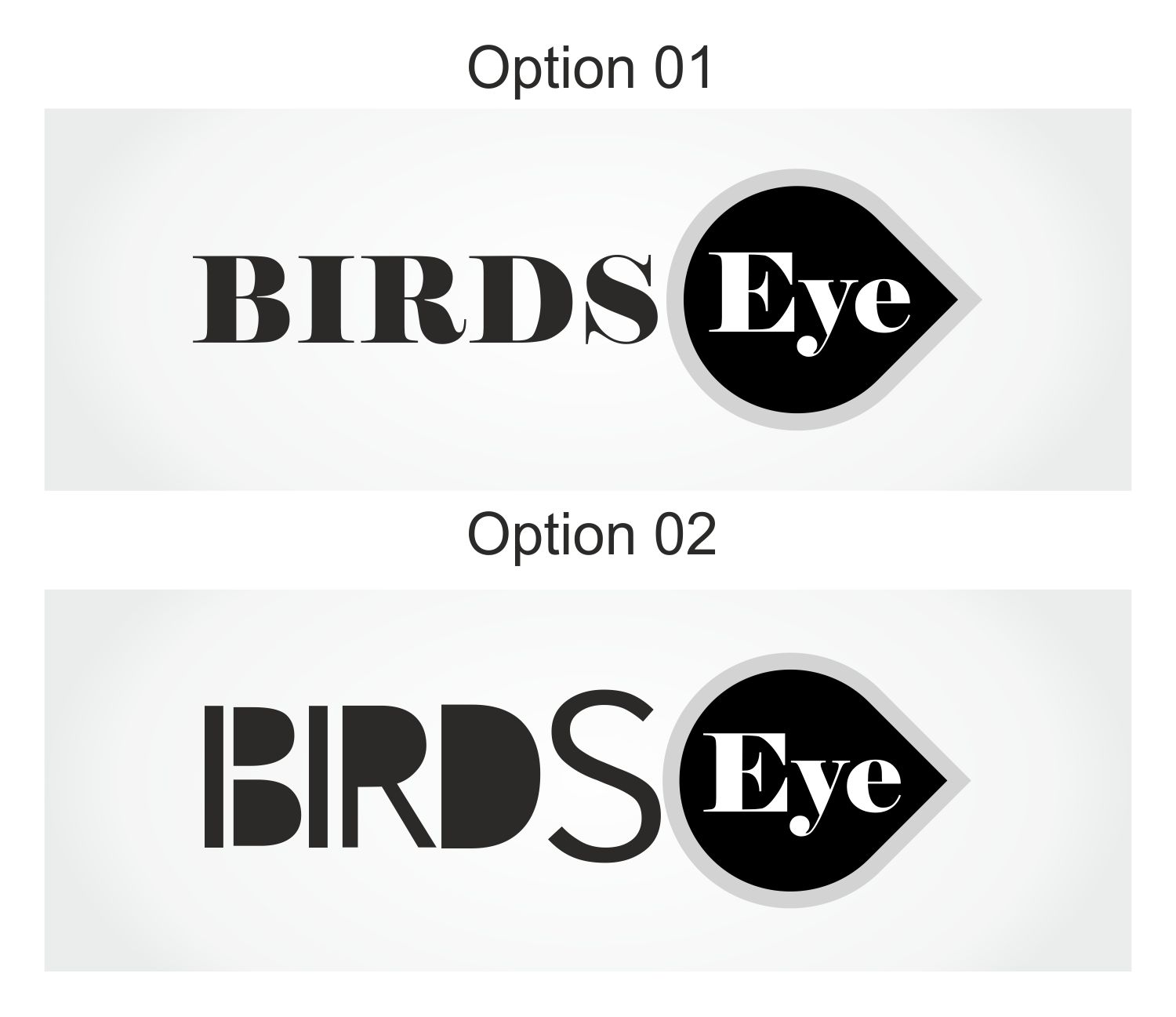 Logo Design by designer101sanjay for Birds-Eye  | Design #10346507
