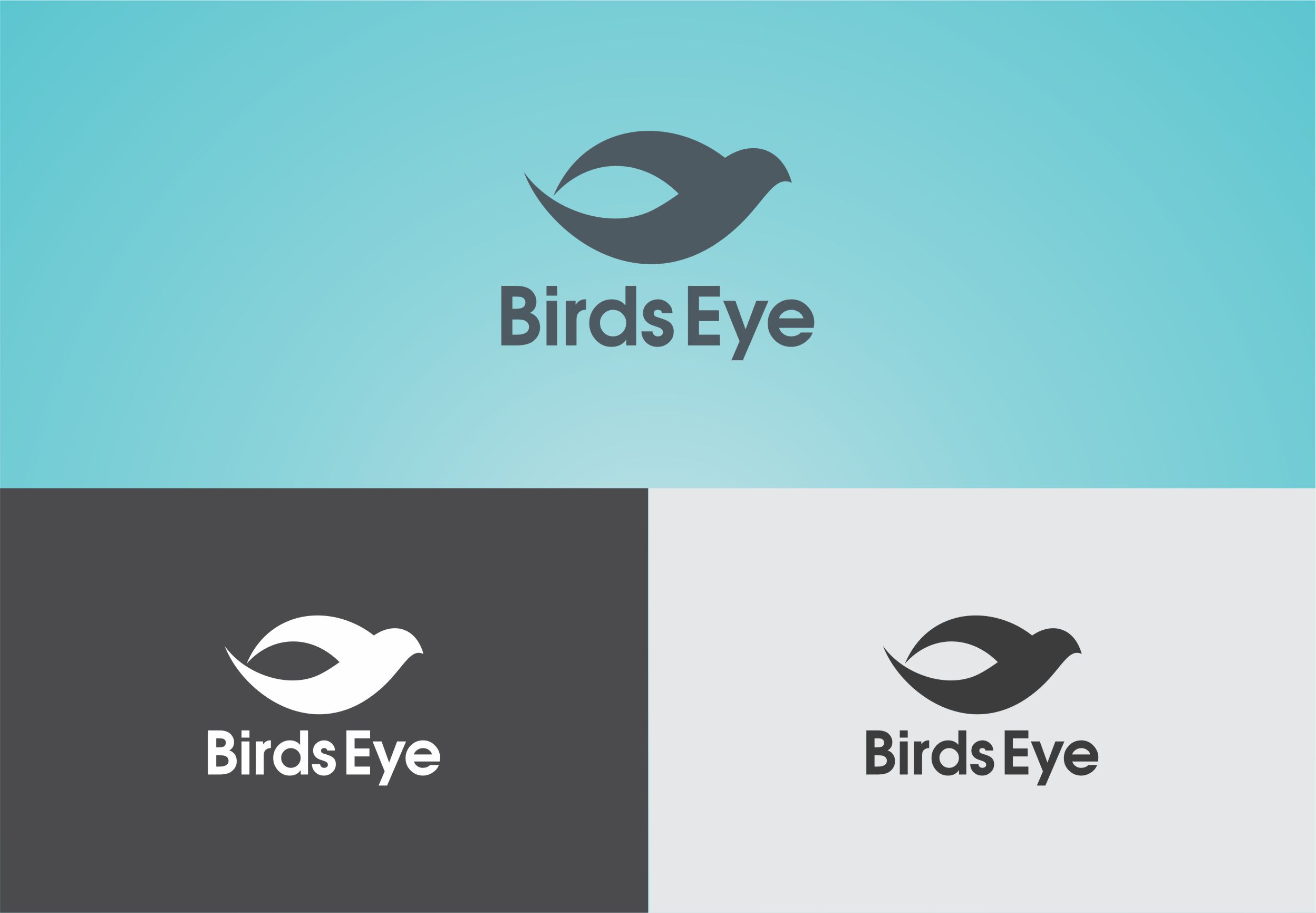 Logo Design by noeg.hasan for Birds-Eye  | Design #10256079