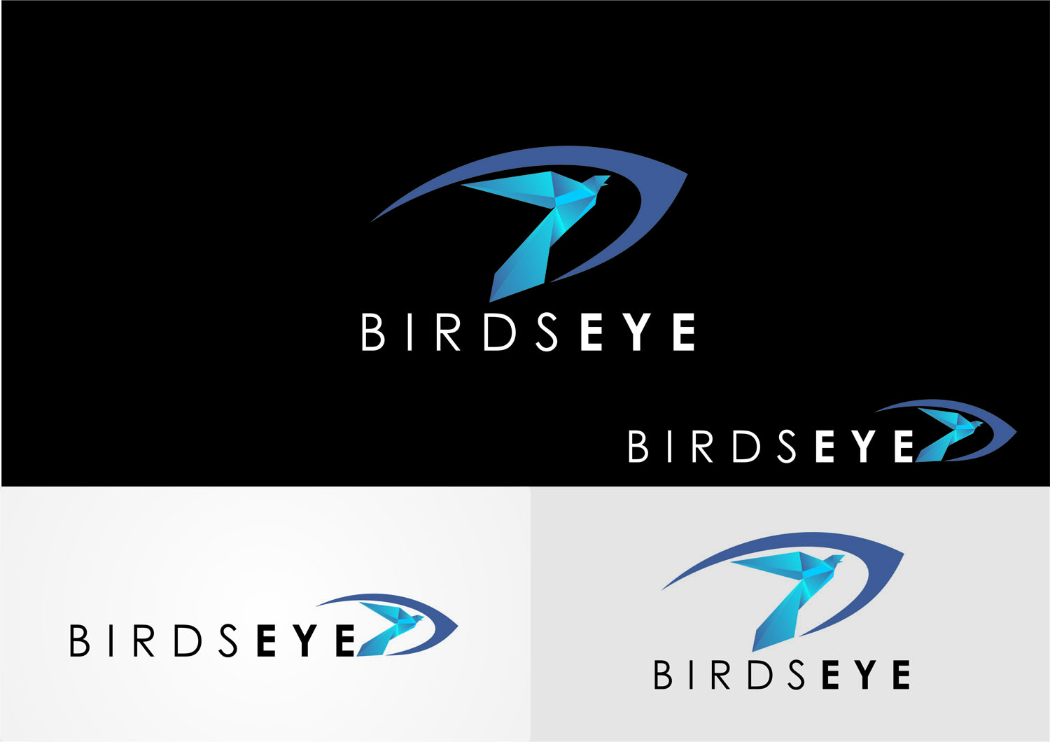 Logo Design by rgrider for Birds-Eye  | Design #10267969