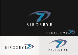 Logo Design by rgrider for Birds-Eye  | Design: #10267969
