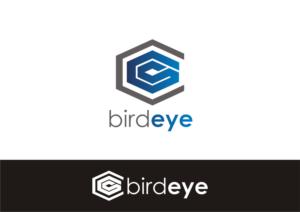 Logo Design by rgrider for Birds-Eye  | Design: #10302815