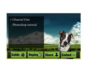 Web Design by muffymostly