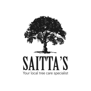 Logo Design by GipsyArts