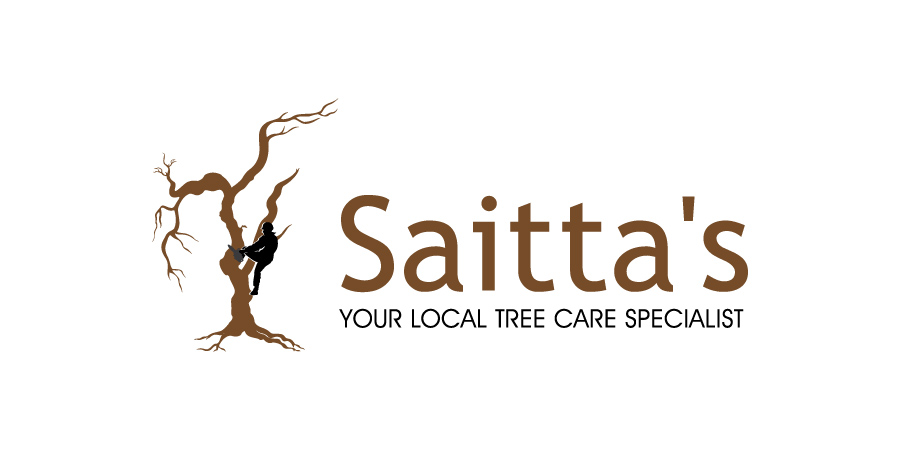 Logo Design by debdesign for saitta's | Design #10266332