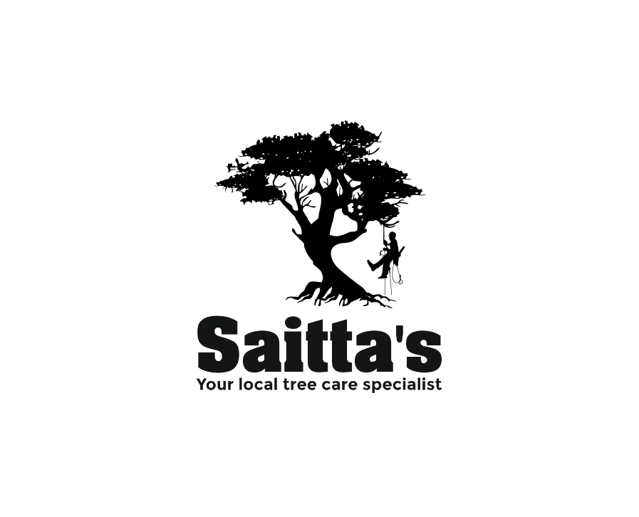 Logo Design by creativea for saitta's | Design #10301700