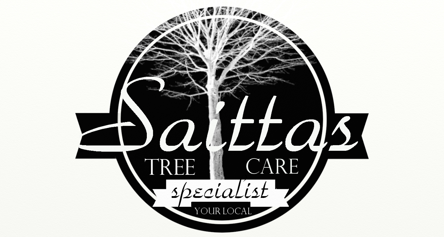Logo Design by Integrated | Design and Planning for saitta's | Design #10307664