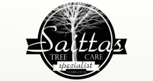 Logo Design by Integrated | Design and Planning for saitta's | Design #10307664