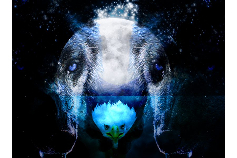 T-shirt Design by Teo Demon for Shirtzz T-Shirt Shop | Design #10397504