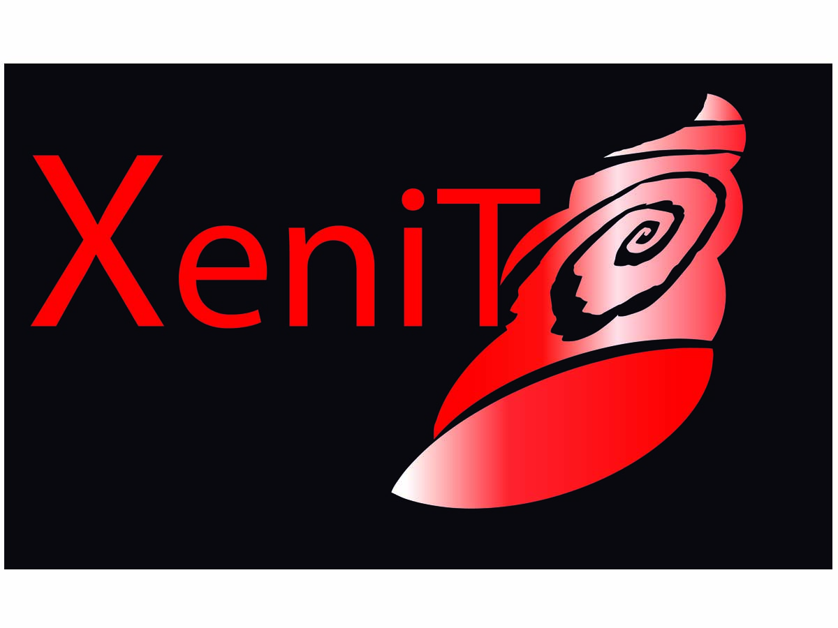 Logo Design by Rubén Armiche for XeniT Solutions N.V. | Design #2194055