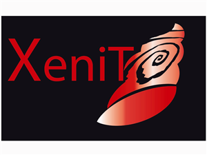 Logo Design by Rubén Armiche for XeniT Solutions N.V. | Design: #2194055