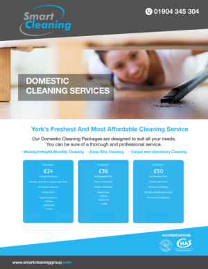Design de Flyer par Aleksic pour ce projet | Design : #10256565