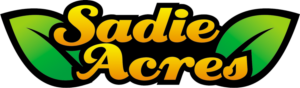 Logo Design by dab iraone