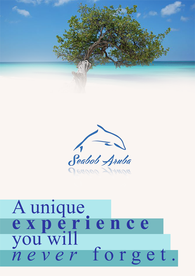 Design de Flyer par Jocelyn Wong pour SEABOB ARUBA | Design #2213342