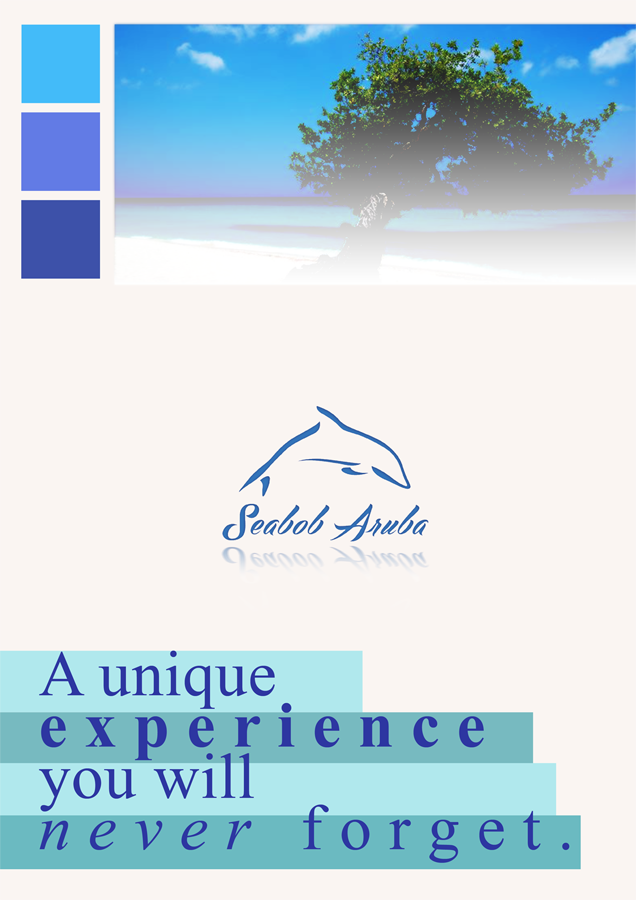 Flyer Design by Jocelyn Wong for SEABOB ARUBA | Design #2213345