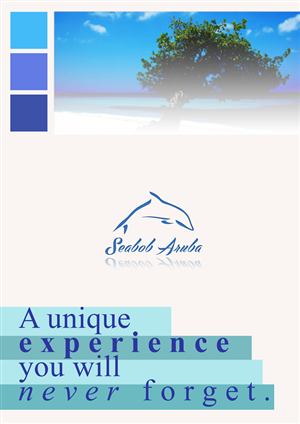 Flyer Design by Jocelyn Wong for SEABOB ARUBA | Design: #2213345