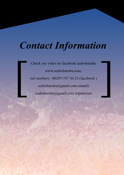 Flyer Design by Jocelyn Wong for SEABOB ARUBA | Design #2213626