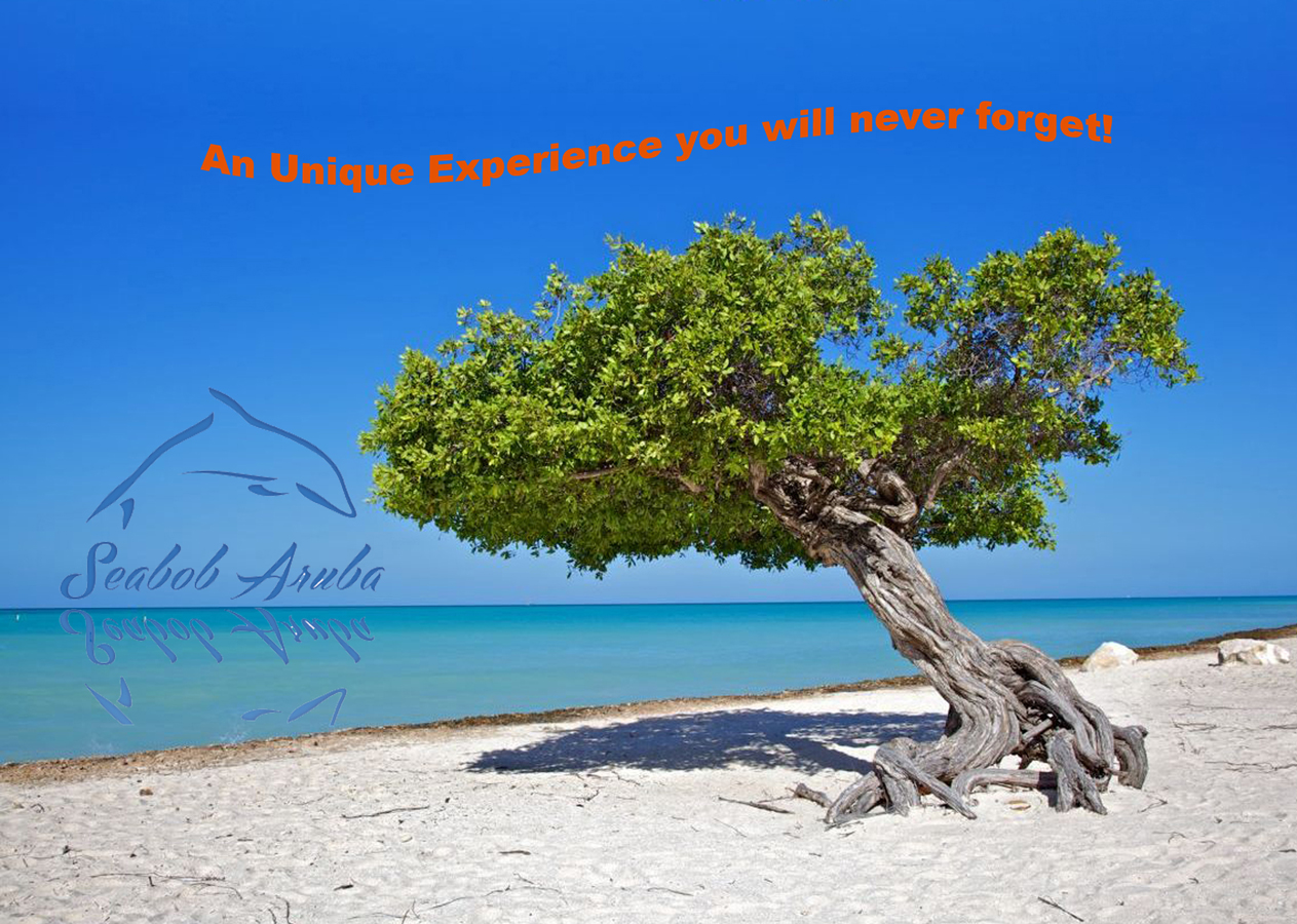 Flyer Design by JOICEDESIGN for SEABOB ARUBA | Design #2228165