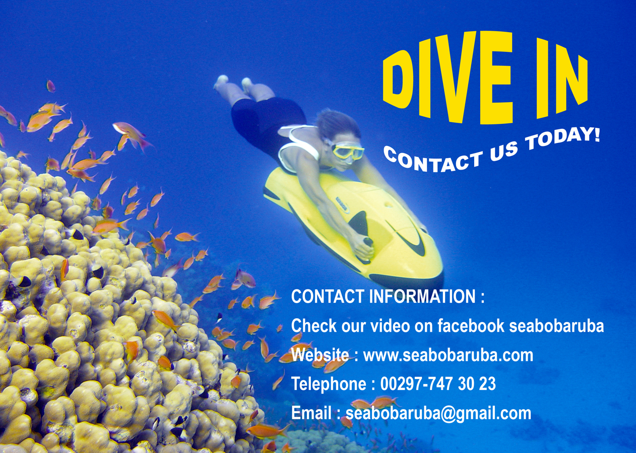 Flyer Design by JOICEDESIGN for SEABOB ARUBA | Design #2228172