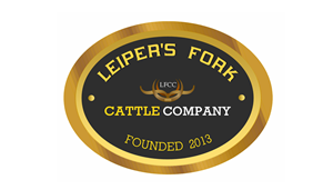 Logo Design by Jeff