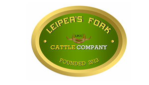Logo Design by Jeff for this project | Design: #2193890
