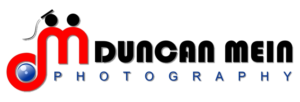 Logo Design by e SOL2023