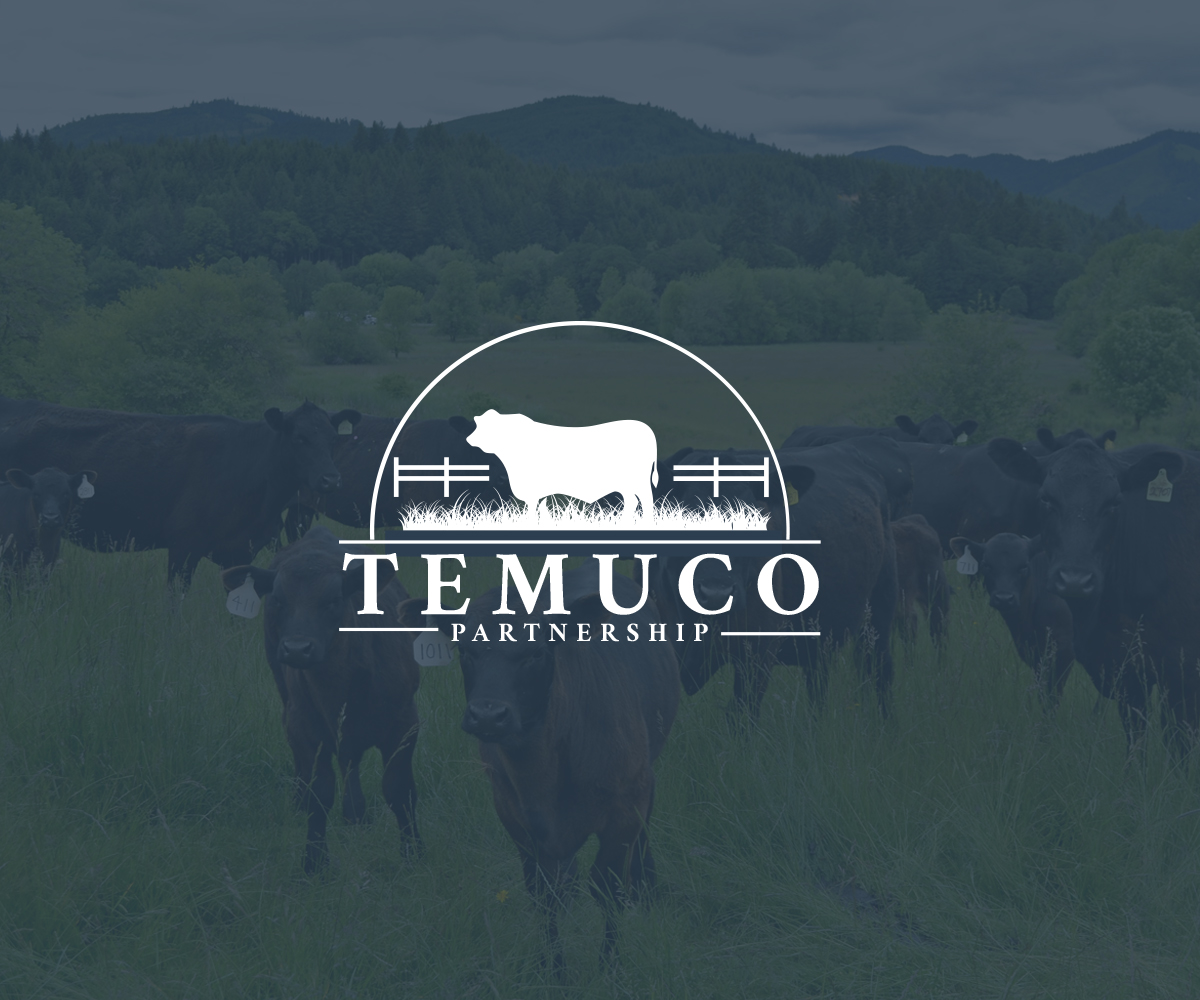 Logo Design by Hana M. for this project | Design #10407426