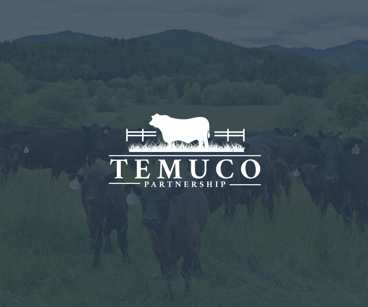Logo Design by Hana M. for this project | Design #10407429