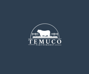 Logo Design by Hana M.
