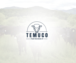 Diseño de Logo por Hana M. para este proyecto | Diseño: #10407523