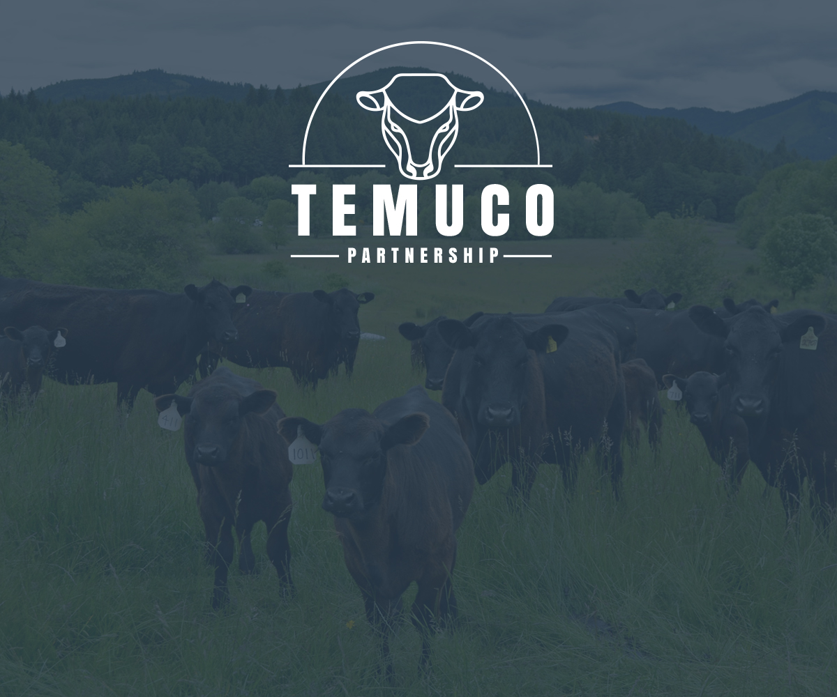 Logo Design by Hana M. for this project | Design #10407525