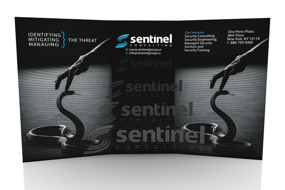 Graphic Design by Imagebos for Sentinel Consulting, LLC | Design #10425060